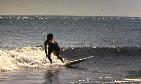 Picture-of-a-surfer