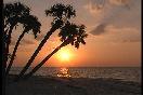 Tropical Island sunset