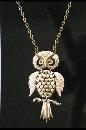 Picture-of-an-owl-pennant-close-up
