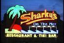Sharky's-sign-at-night